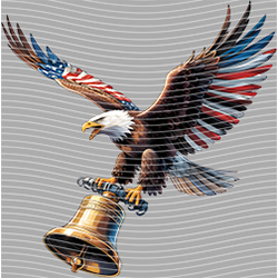 USA-MG 3568